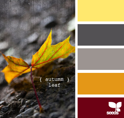 Design Seeds Colour Palette- Audenza