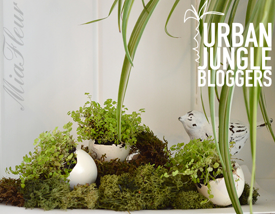 Urban Jungle Bloggers: Easter Styling- Audenza
