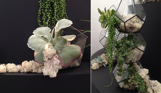 Grow London- terrarium inspiration by The Urban Botanist via Audenza