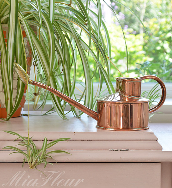 Haws Watering Can- Audenza