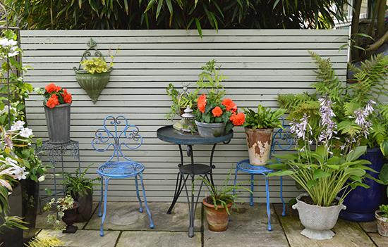 Flowering plants that like shade are some begonias, fuschias and heucheras. 