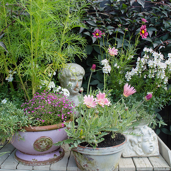 Use accessories to give a feeling of an outdoor room and to make the space personal. A stone bust peeping through a fern or a cheeky bird perched on the ivy.