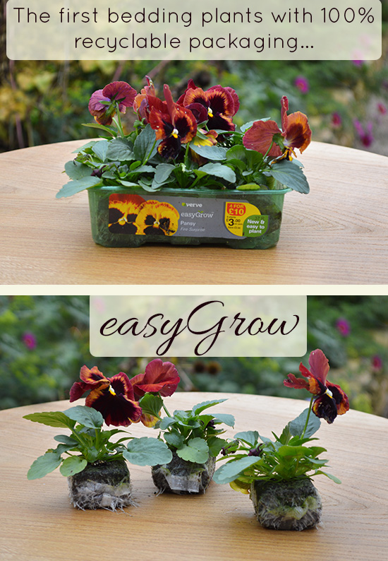 New B & Q easyGrow Beddng Plants- Audenza