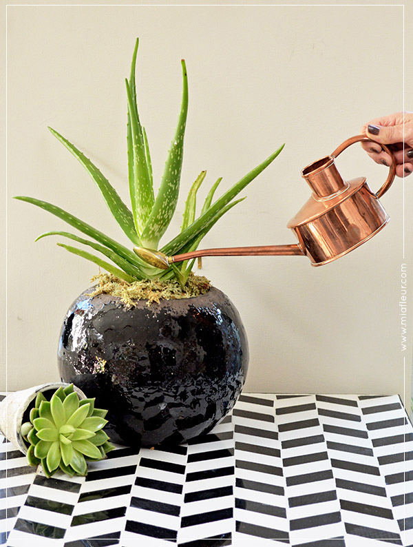 1 Product Styled 3 Ways: Rustic Plant Pot