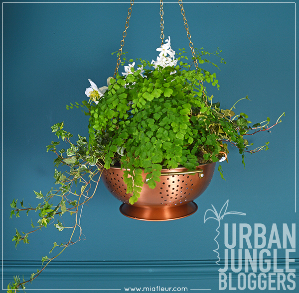 Urban Jungle Bloggers- Hanging Planters