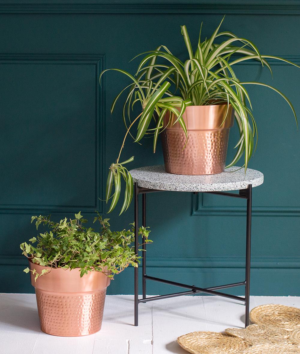 Top 5 tips for choosing plant pots for house plants.