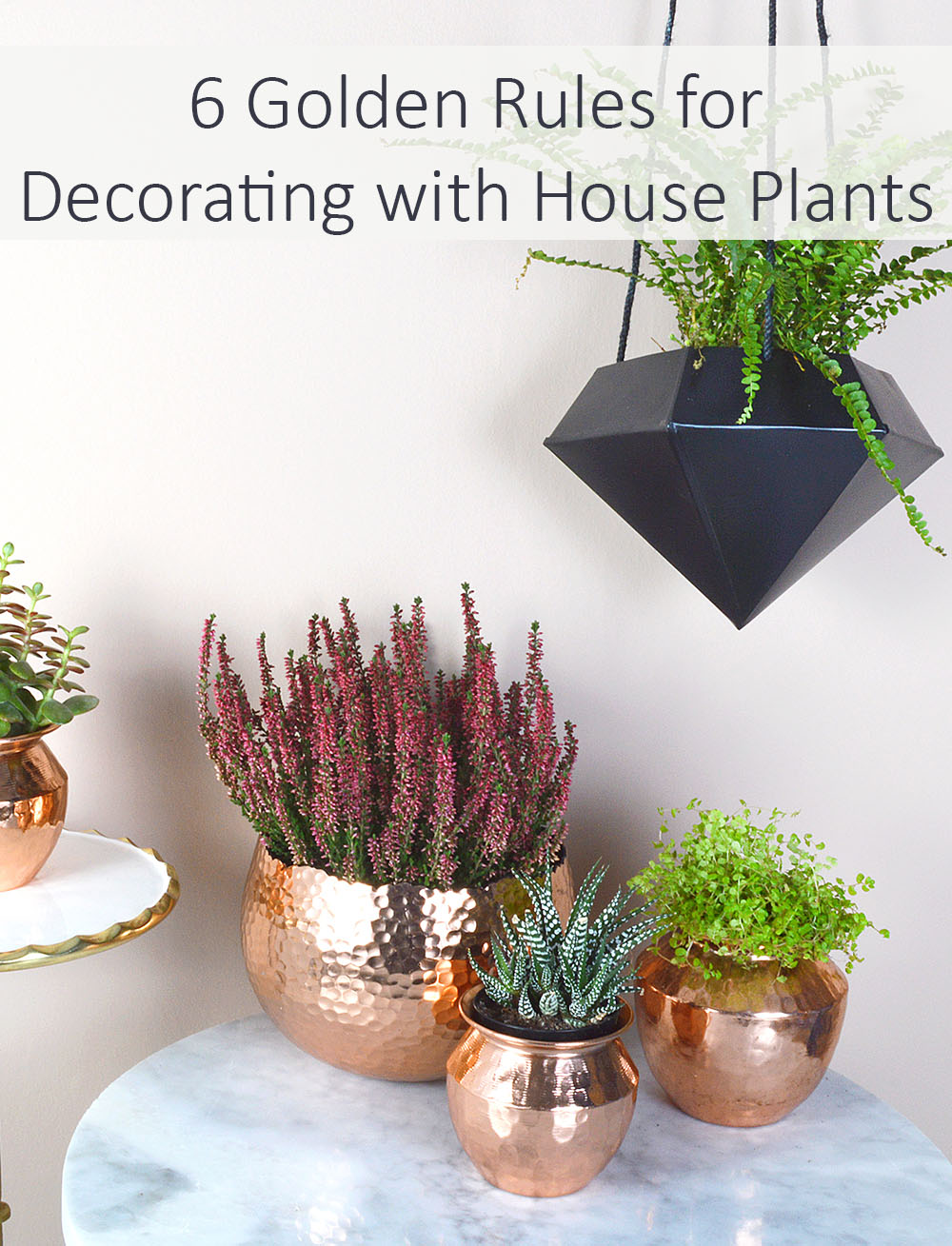 House plants bring a wonderful organic quality to your home and, as an added bonus, they are good for cleansing the air. So to help you incorporate them in your own home, here’s my 6 golden rules for decorating with house plants.
