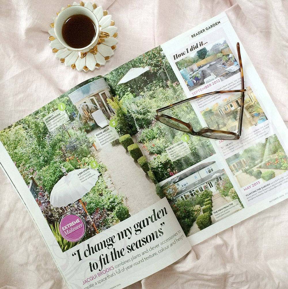 The latest edition of Modern Gardens has hit the shelves and my garden is featured! 