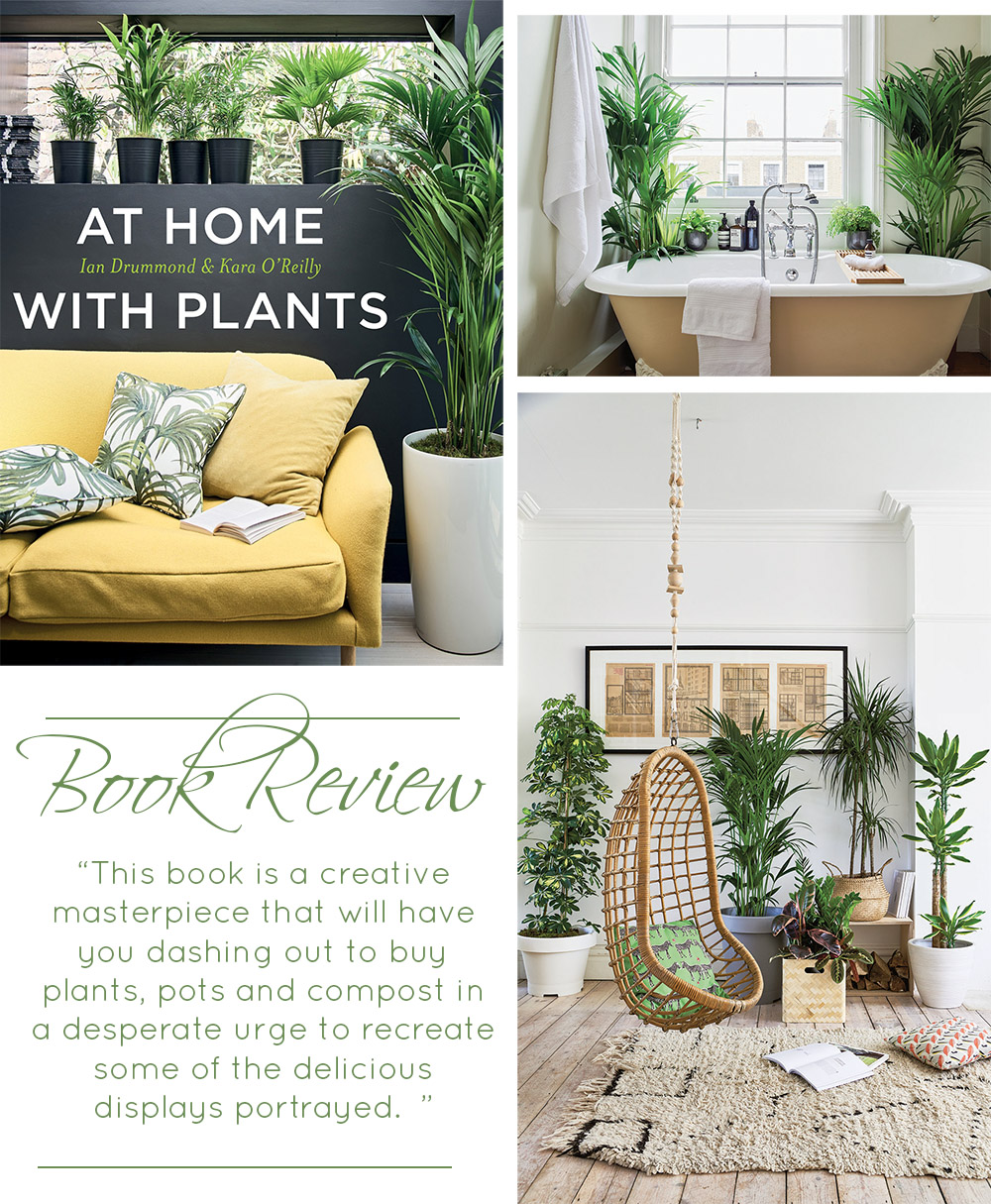 On the blog- review of an amazing new book, ‘At Home with Plants’ by Ian Drummond and Kara O’Reilly, which we think is the definitive guide to house plants. It is a creative masterpiece that will have you dashing out to buy plants, pots and compost in a desperate urge to recreate some of the delicious displays portrayed. 