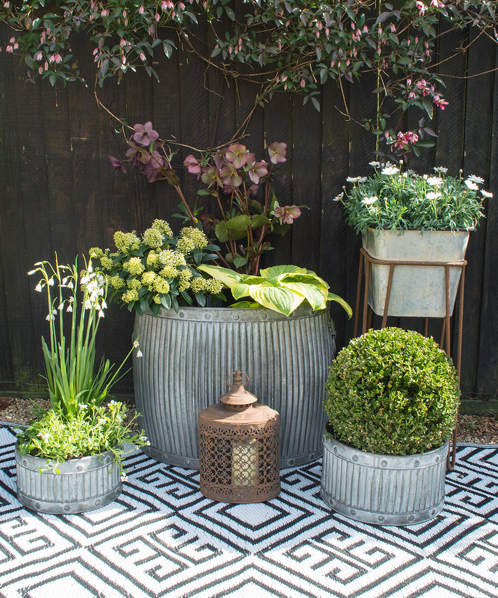 Gone are the days when the garden was simply a lawn and somewhere to grow a few flowers - now we want to create a room outdoors which can be enjoyed all through the year as an extension of our home. These five easy steps will help you create your perfect outdoor room.