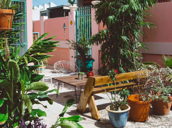 A fabulous courtyard with two tone walls, contrasting green railings and masses of green foliage, which gives a wonderful continental feeling to this outside space.