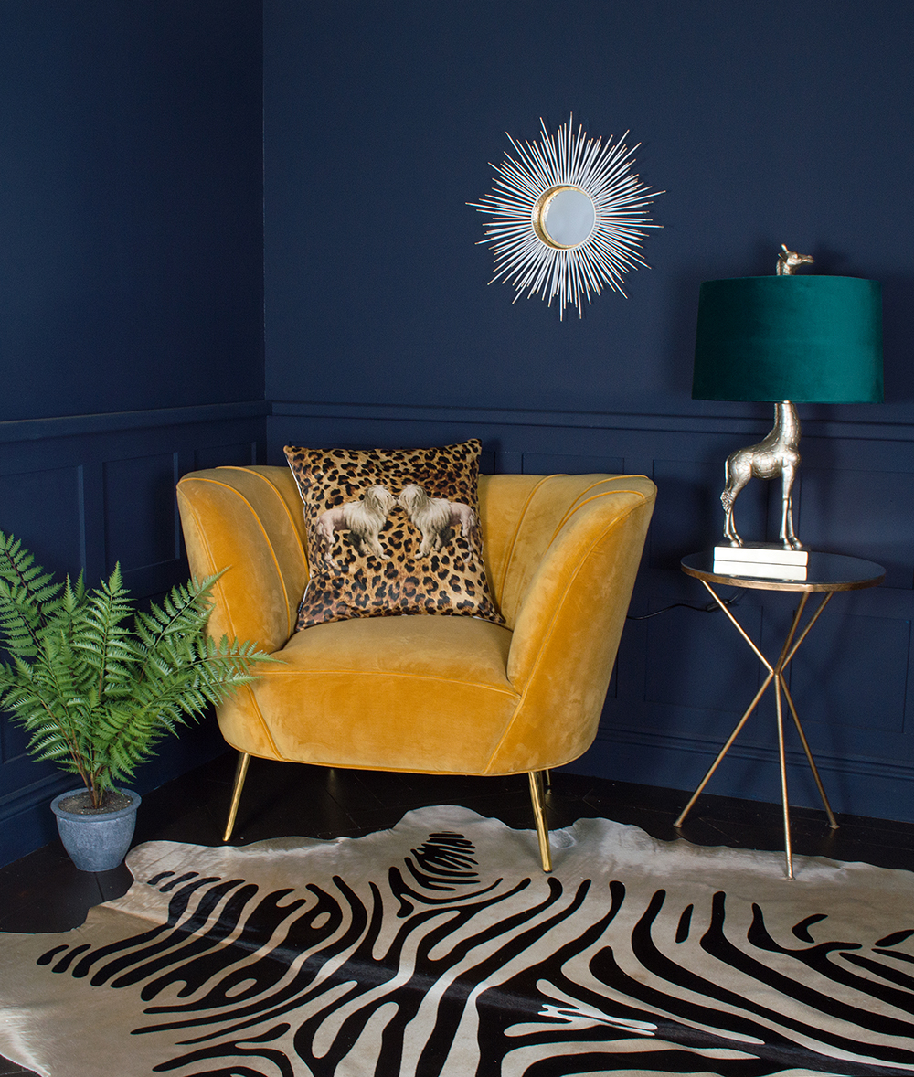 Photography set- Eclectic dark navy living room