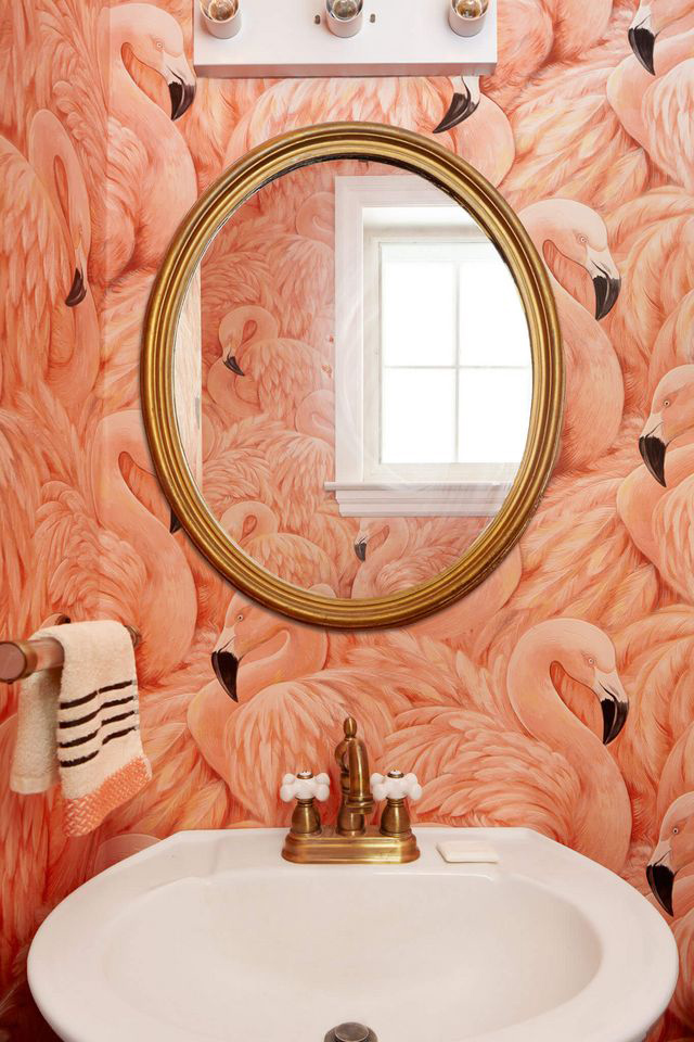Albany – Flamingos Wallpaper