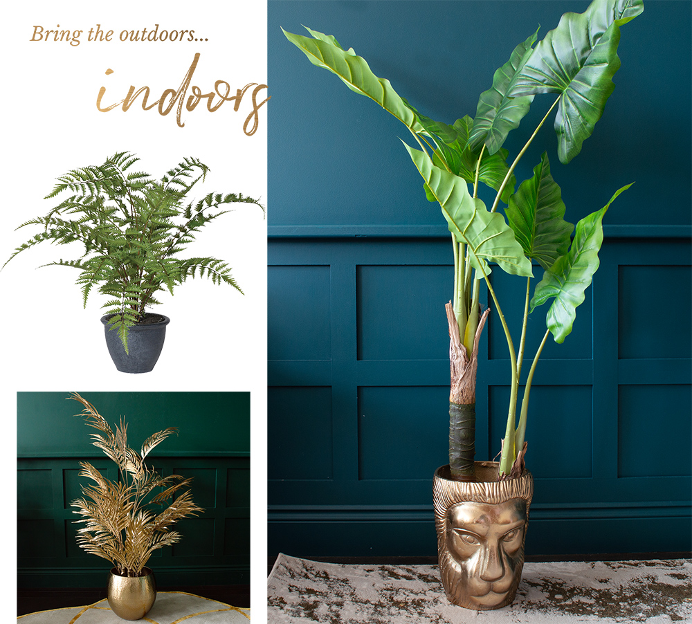 Treat yourself to a new plant or two, to bring a little piece of the outdoors indoors.